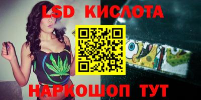 шишки Шахты