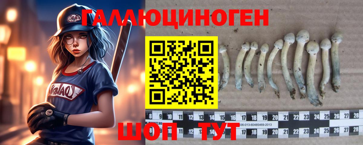 как найти закладки  Вход с VPN  Анжеро-Судженск  Галлюциногенные грибы Cubensis  Галлюциногенные грибы Magic Shrooms 